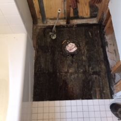 mold under toilet.jpg